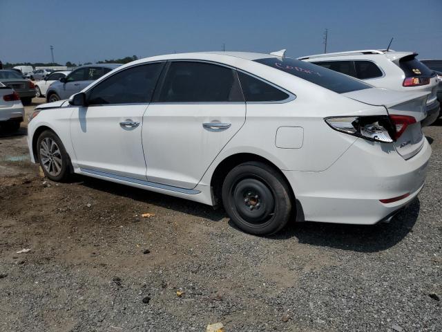 5NPE34AF5FH115423 - 2015 HYUNDAI SONATA SPORT WHITE photo 2