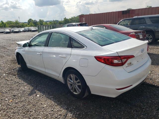 5NPE24AF6GH334489 - 2016 HYUNDAI SONATA SE WHITE photo 2