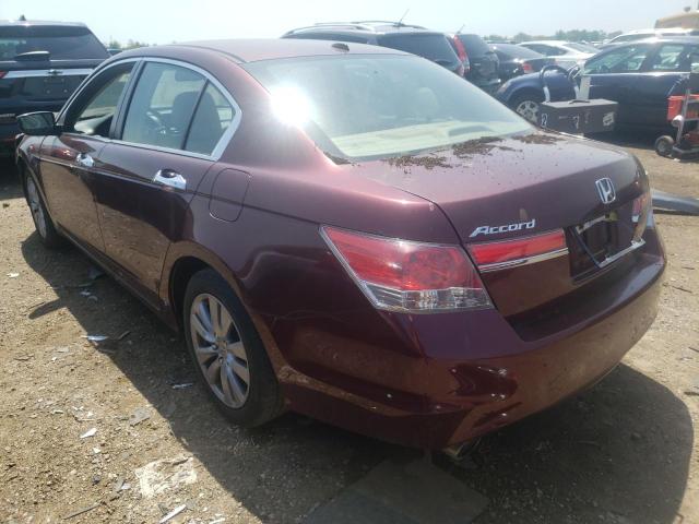 1HGCP3F89CA019220 - 2012 HONDA ACCORD EXL BURGUNDY photo 2