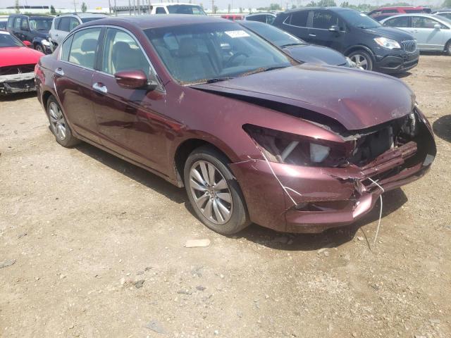 1HGCP3F89CA019220 - 2012 HONDA ACCORD EXL BURGUNDY photo 4