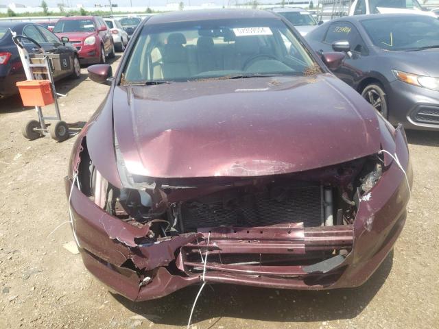 1HGCP3F89CA019220 - 2012 HONDA ACCORD EXL BURGUNDY photo 5