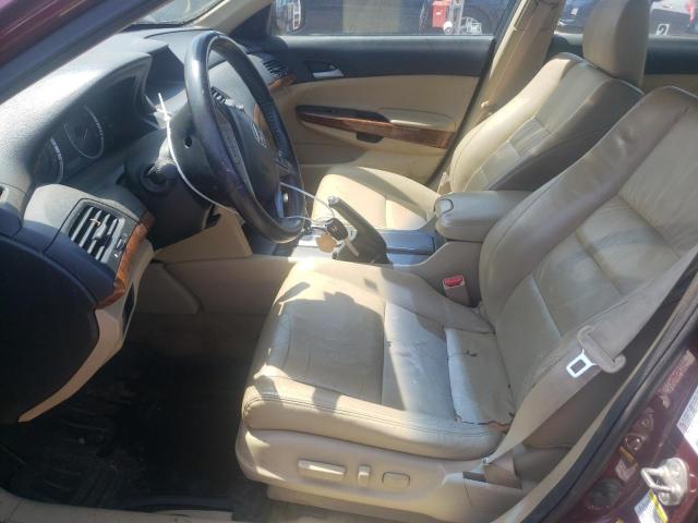 1HGCP3F89CA019220 - 2012 HONDA ACCORD EXL BURGUNDY photo 7
