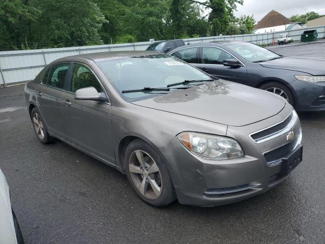 1G1ZC5E12BF238731 - 2011 CHEVROLET MALIBU 1LT GRAY photo 4