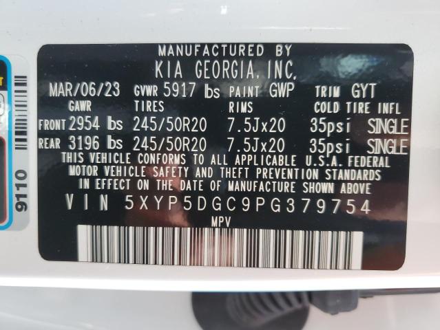 5XYP5DGC9PG379754 - 2023 KIA TELLURIDE SX WHITE photo 13