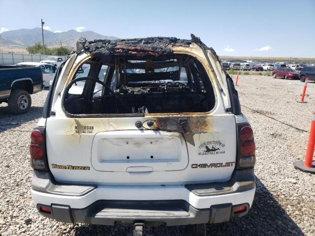 1GNET16S136246253 - 2003 CHEVROLET TRAILBLAZE EXT WHITE photo 9