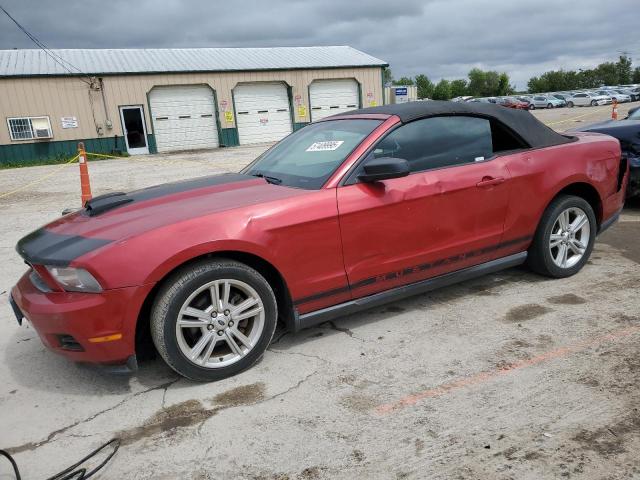 2010 FORD MUSTANG, null