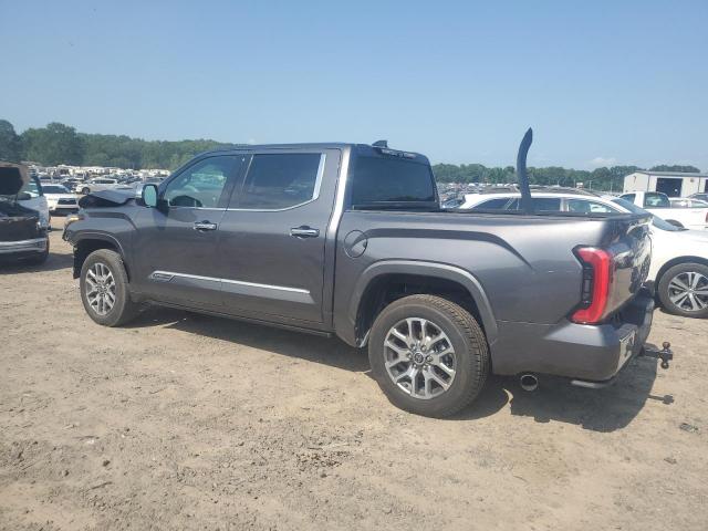 5TFMA5AB4NX003493 - 2022 TOYOTA TUNDRA CREWMAX PLATINUM Boz foto 2