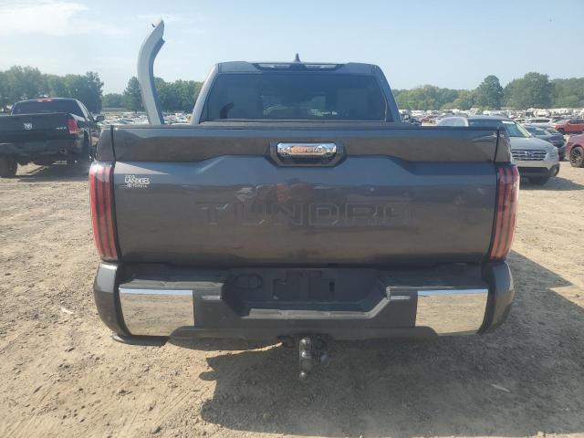 5TFMA5AB4NX003493 - 2022 TOYOTA TUNDRA CREWMAX PLATINUM Boz foto 6