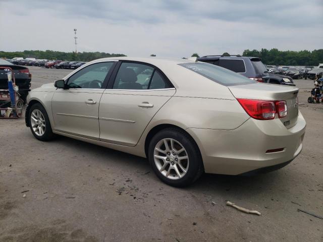 1G11C5SL4EF116637 - 2014 CHEVROLET MALIBU 1LT 米色 照片 2