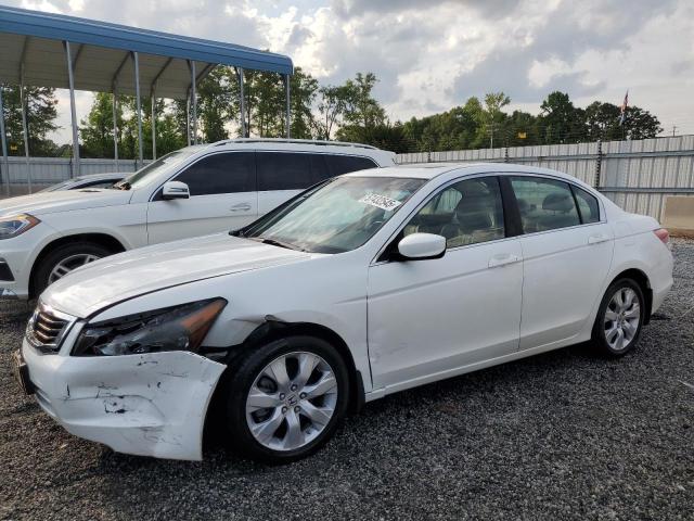 2010 HONDA ACCORD EXL, null