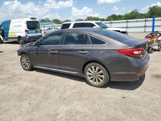 5NPE34AF5GH419918 - 2016 HYUNDAI SONATA SPORT Grau Foto 2