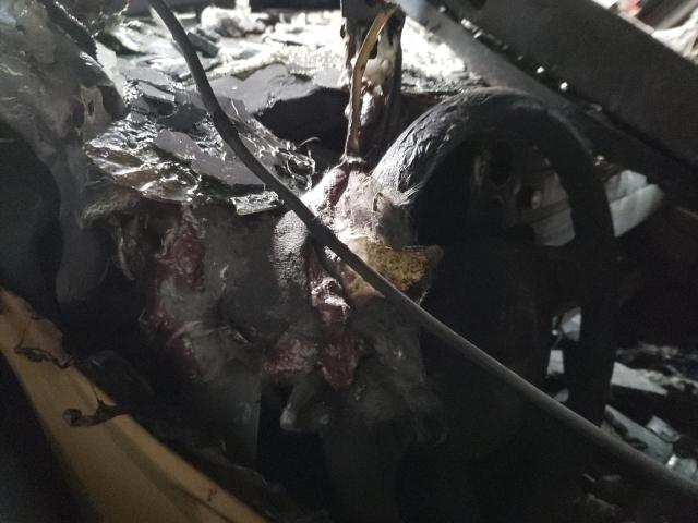 1J8HG48N18C231059 - 2008 JEEP COMMANDER SPORT Այրված լուսանկար 9