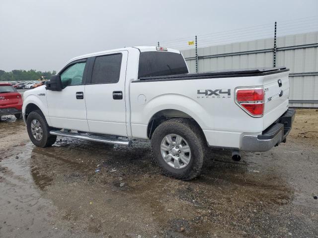 1FTFW1EF3CFB61343 - 2012 FORD F150 SUPERCREW WHITE photo 2