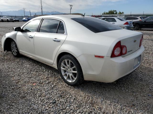 1G1ZE5E12BF391412 - 2011 CHEVROLET MALIBU LTZ ბეჟი ფოტო 2