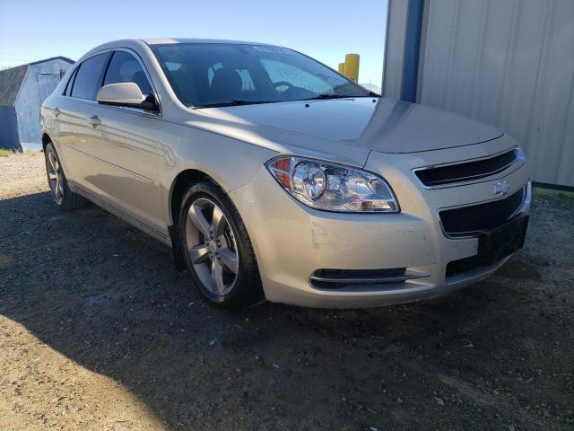1G1ZC5E1XBF354680 - 2011 CHEVROLET MALIBU 1LT ოქროსფერი ფოტო 1