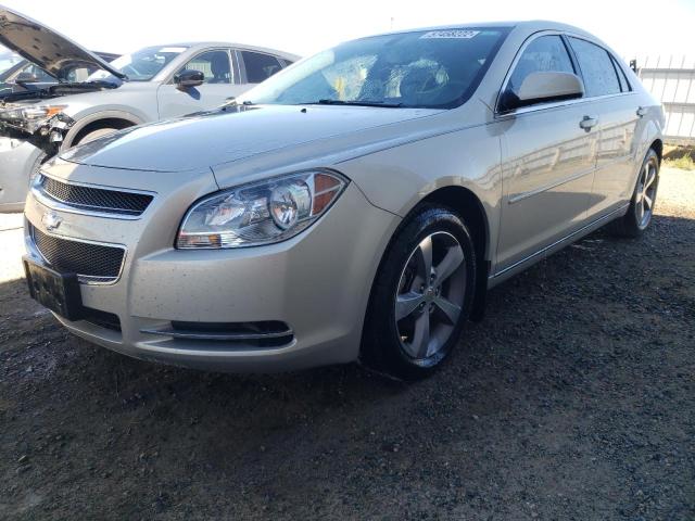 1G1ZC5E1XBF354680 - 2011 CHEVROLET MALIBU 1LT ოქროსფერი ფოტო 2