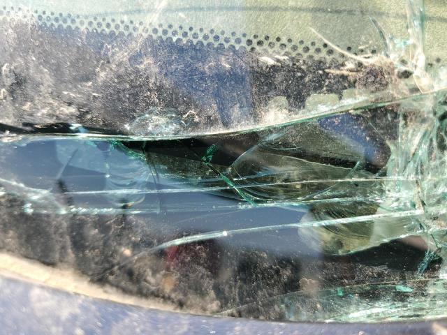 5TFSX5EN3HX052389 - 2017 TOYOTA TACOMA ACCESS CAB ნაცრისფერი ფოტო 12