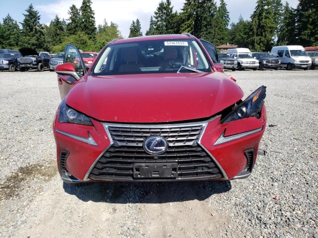 JTJGJRDZ3L5000541 - 2020 LEXUS NX 300H RED photo 5