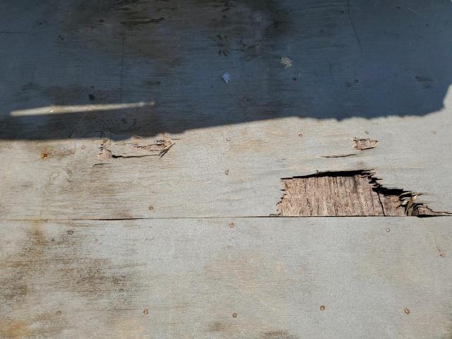 54GVC20T2D7008485 - 2013 OTHER TRAILER Qara foto 6