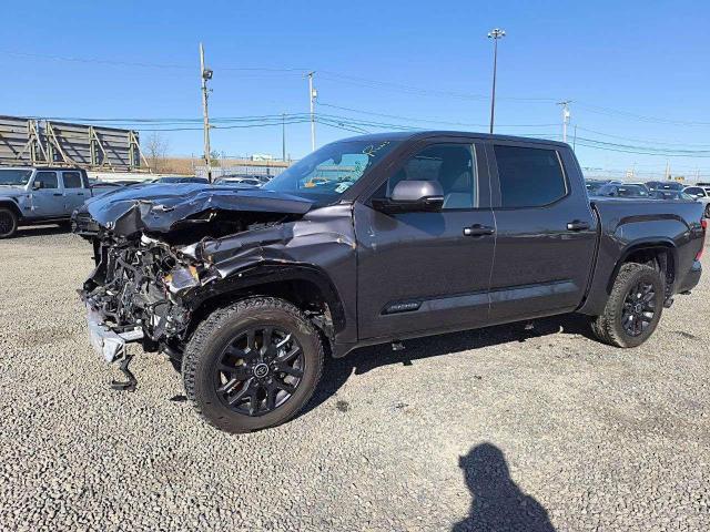 5TFNC5DB5RX067977 - 2024 TOYOTA TUNDRA CREWMAX PLATINUM ნაცრისფერი ფოტო 1
