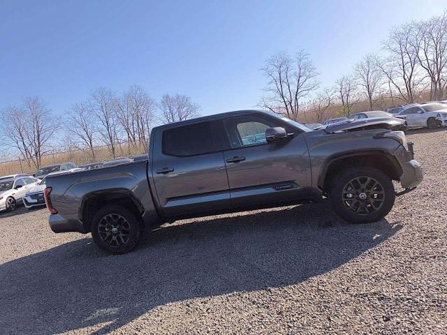 5TFNC5DB5RX067977 - 2024 TOYOTA TUNDRA CREWMAX PLATINUM ნაცრისფერი ფოტო 14