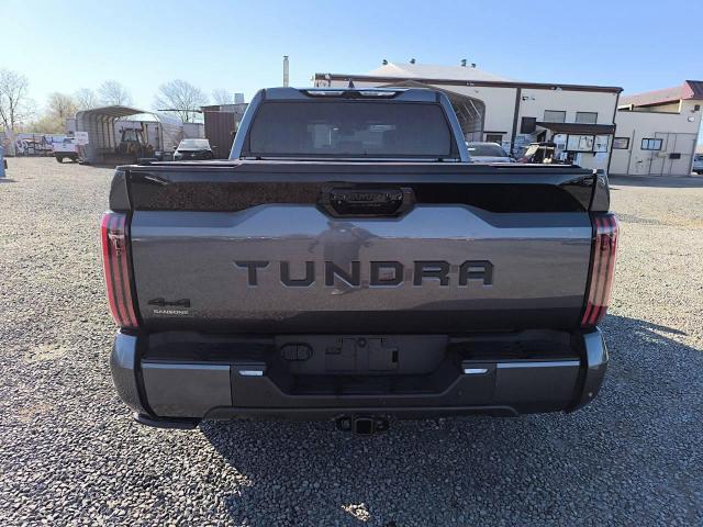 5TFNC5DB5RX067977 - 2024 TOYOTA TUNDRA CREWMAX PLATINUM ნაცრისფერი ფოტო 6