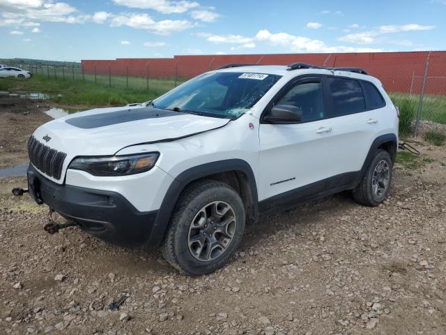 1C4PJMBXXLD627119 - 2020 JEEP CHEROKEE TRAILHAWK WHITE photo 1