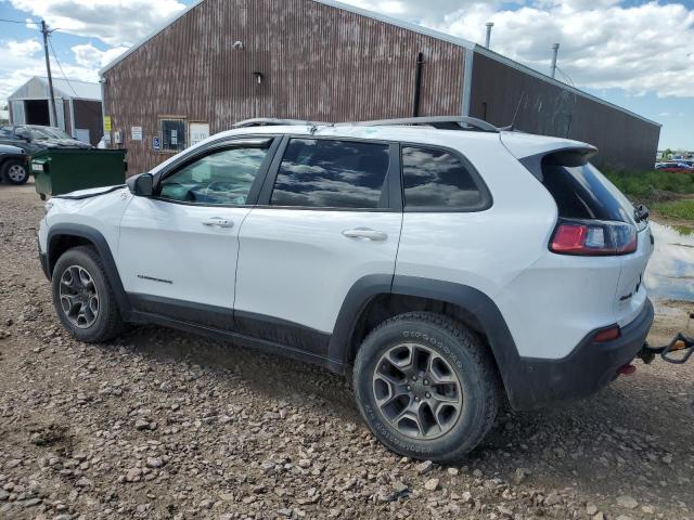 1C4PJMBXXLD627119 - 2020 JEEP CHEROKEE TRAILHAWK WHITE photo 2