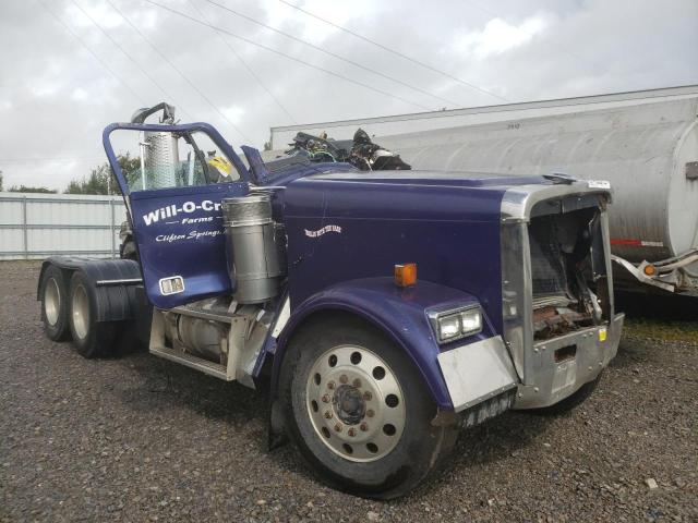 SW124700PA - 2010 FREIGHTLINER TRACTOR PURPLE photo 1