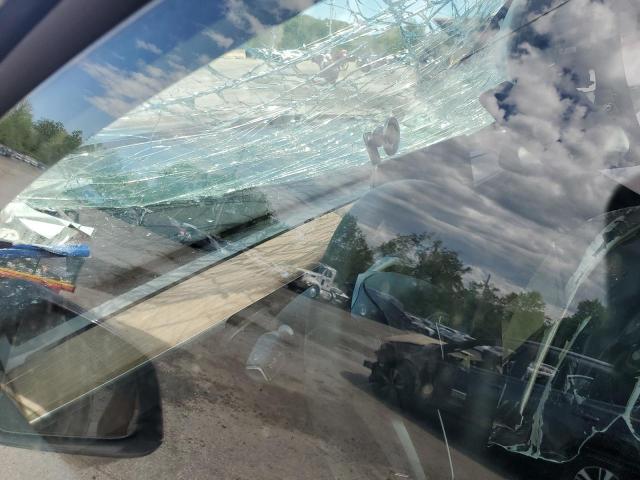 7SAYGDEE7RA327259 - 2024 TESLA MODEL Y BLACK photo 9