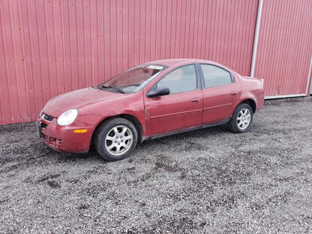 1B3ES46CX5D132709 - 2005 DODGE NEON SX 2.0 RED photo 1