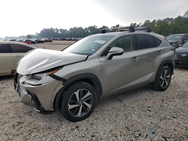JTJBARBZ8J2173726 - 2018 LEXUS NX 300 BASE Boz foto 1