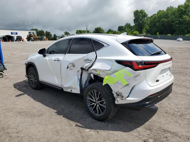 2T2GGCEZ9PC027938 - 2023 LEXUS NX 350 WHITE photo 2