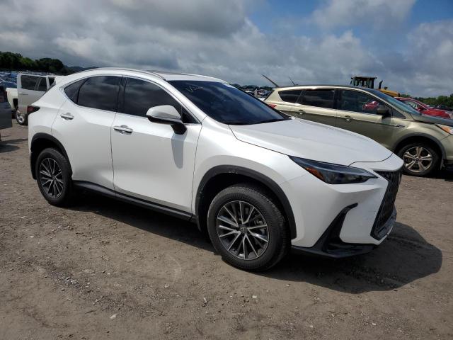 2T2GGCEZ9PC027938 - 2023 LEXUS NX 350 WHITE photo 4