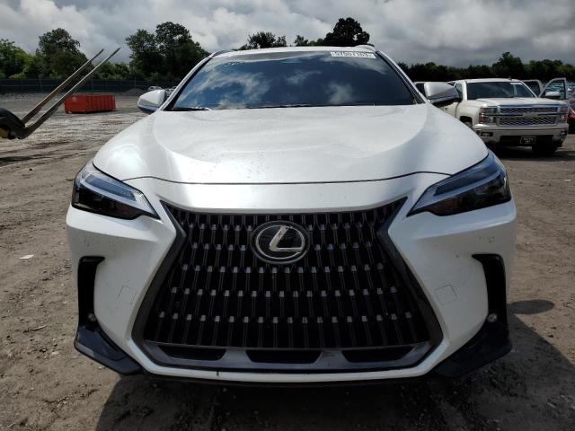 2T2GGCEZ9PC027938 - 2023 LEXUS NX 350 WHITE photo 5