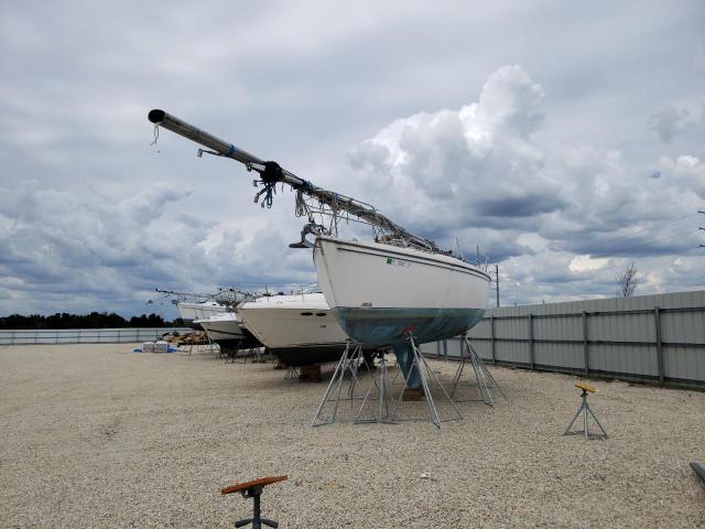 CTYR0342M84K - 1984 CCHM SAILBOAT TWO TONE photo 2