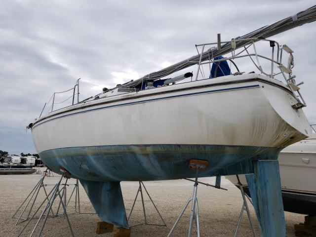 CTYR0342M84K - 1984 CCHM SAILBOAT TWO TONE photo 3