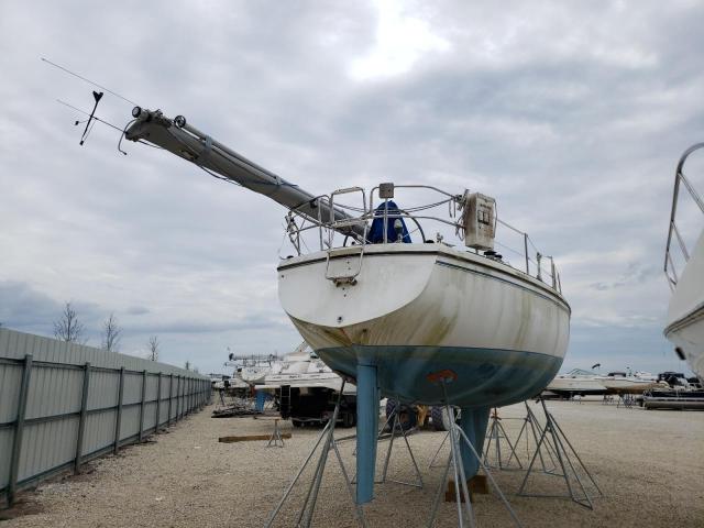 CTYR0342M84K - 1984 CCHM SAILBOAT TWO TONE photo 4