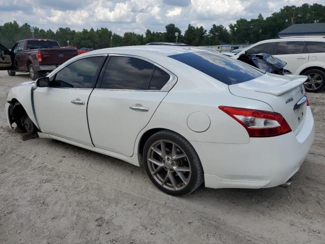 1N4AA5AP9AC855182 - 2010 NISSAN MAXIMA S WHITE photo 2