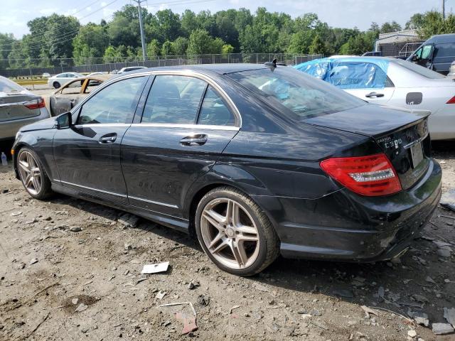 WDDGF8AB5DR260347 - 2013 MERCEDES-BENZ 300-CLASS 300 4MATIC BLACK photo 2