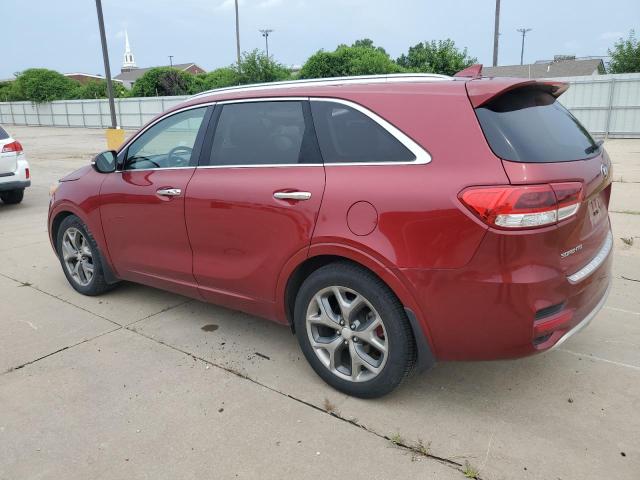 5XYPK4A52GG085924 - 2016 KIA SORENTO SX RED photo 2