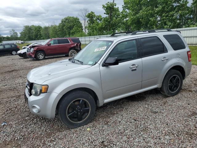 2009 FORD ESCAPE XLT, 