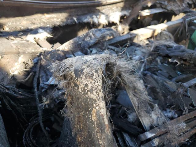 1RF120611W1014595 - 1998 ROADMASTER RAIL EXECUTIVE Weiß Foto 8