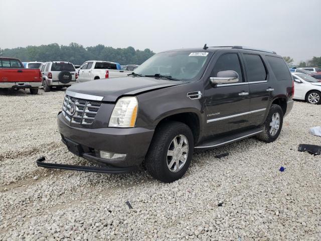 1GYUKBEF8AR147193 - 2010 CADILLAC ESCALADE LUXURY GRAY photo 1