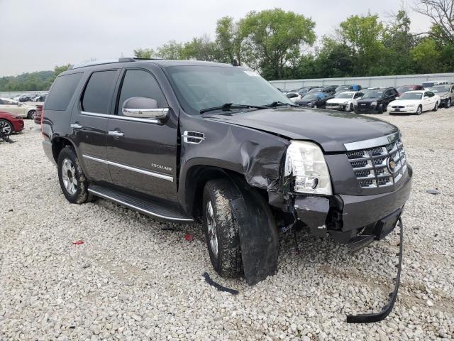 1GYUKBEF8AR147193 - 2010 CADILLAC ESCALADE LUXURY GRAY photo 4