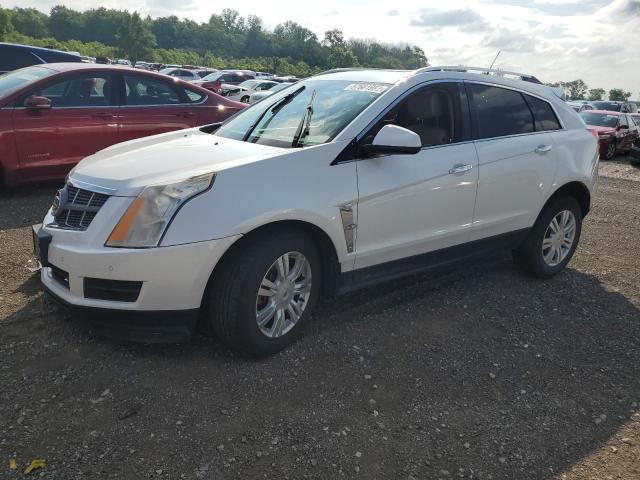 3GYFNDEY6BS515866 - 2011 CADILLAC SRX LUXURY COLLECTION WHITE photo 1