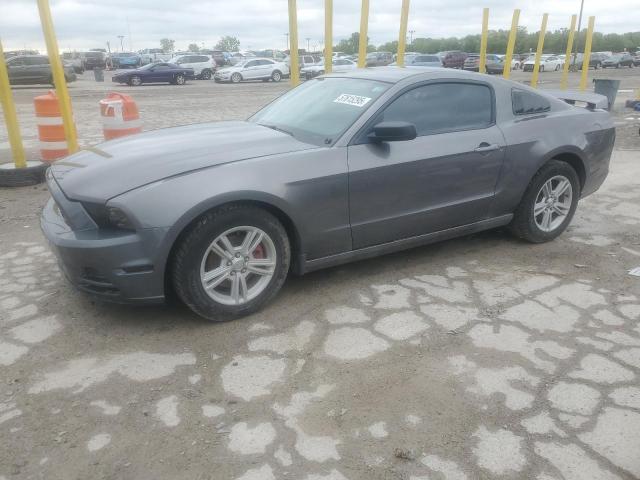 2014 FORD MUSTANG, null