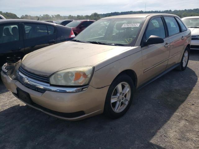 1G1ZT62844F221570 - 2004 CHEVROLET MALIBU MAXX LS 金色 照片 2