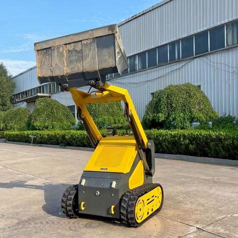 2025 OTHER SKID STEER, null