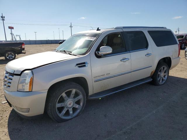 1GYS4HEF7CR294323 - 2012 CADILLAC ESCALADE ESV LUXURY 白色 照片 1